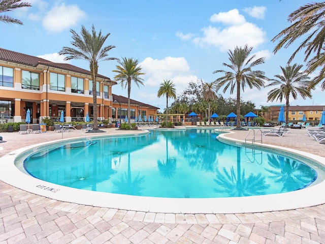 view of pool with a patio