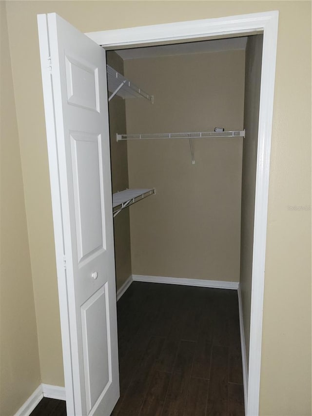 spacious closet featuring dark hardwood / wood-style floors