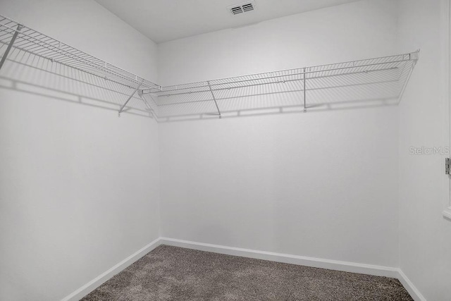 spacious closet featuring carpet