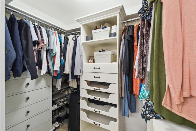 view of spacious closet