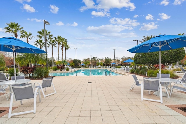 view of pool featuring a patio area