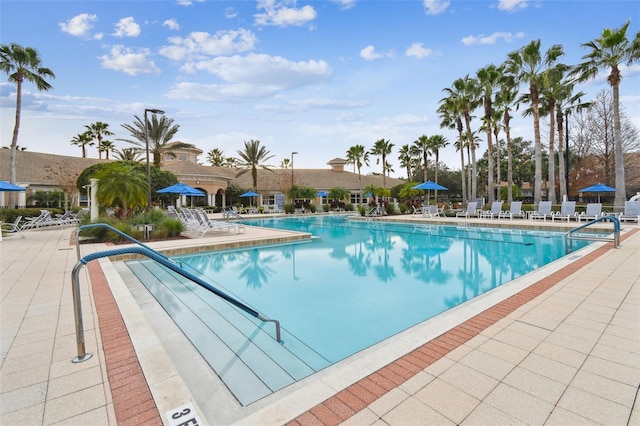 view of pool featuring a patio