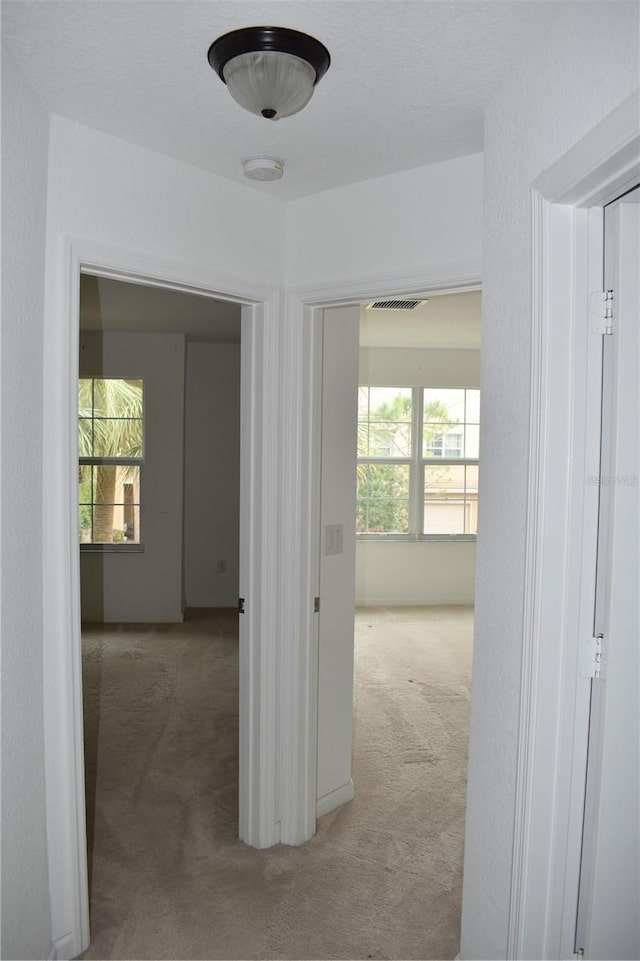 corridor featuring light carpet and a wealth of natural light