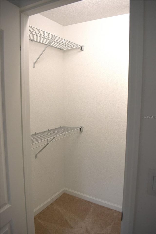 walk in closet featuring carpet