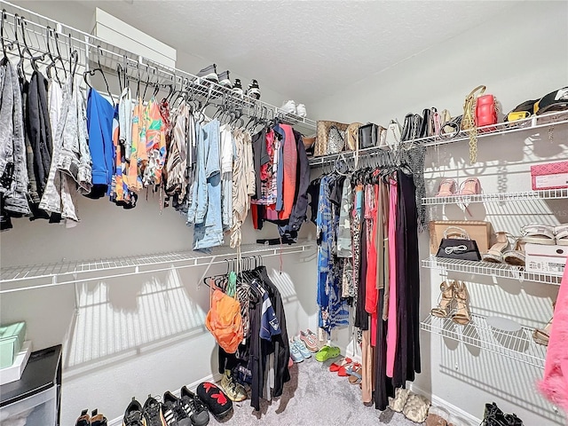 walk in closet featuring carpet flooring