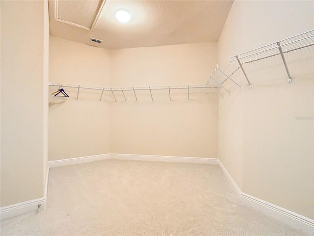 walk in closet with carpet floors