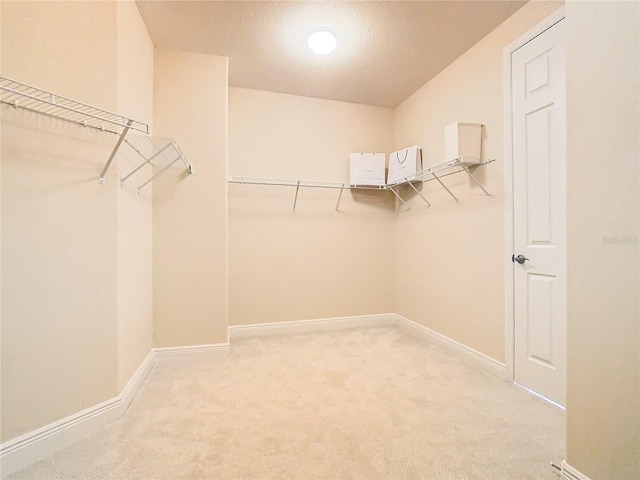 walk in closet featuring carpet