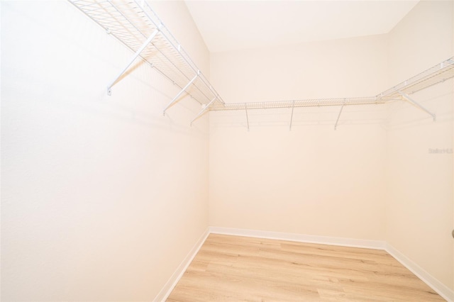 spacious closet featuring hardwood / wood-style flooring