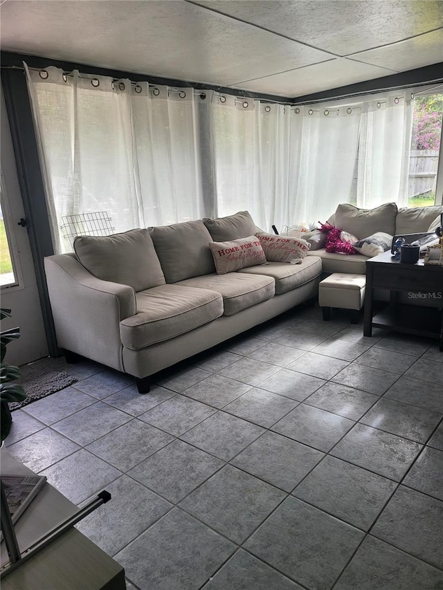 living room featuring plenty of natural light