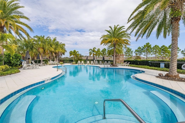 view of pool featuring a patio