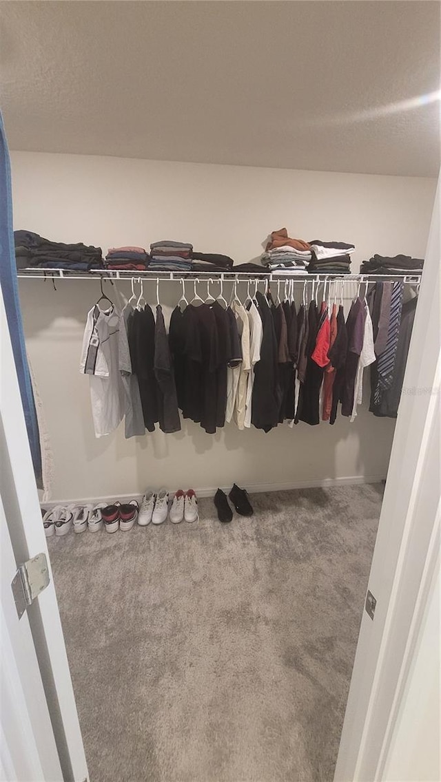 spacious closet with carpet