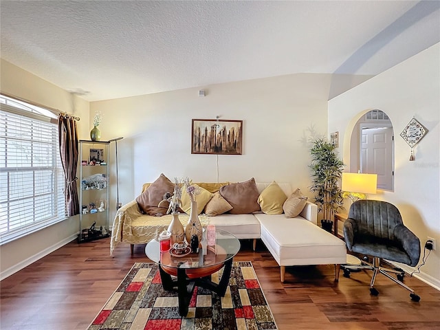 living room featuring dark hardwood / wood-style flooring and a textured ceiling