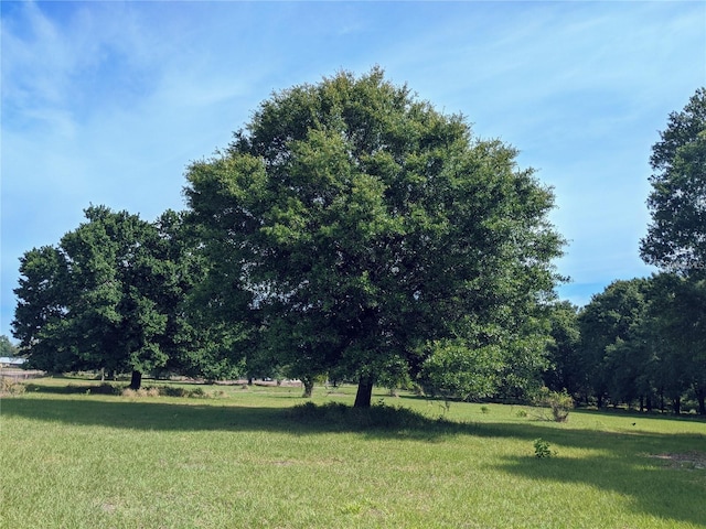 Tucker Ave, Saint Cloud, FL 34772