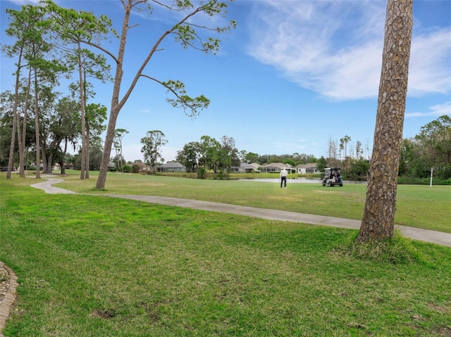 view of property's community with a yard