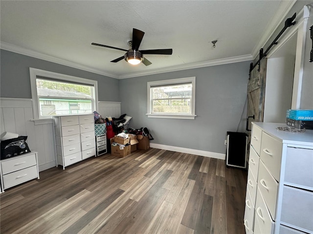 misc room with crown molding, plenty of natural light, and a barn door