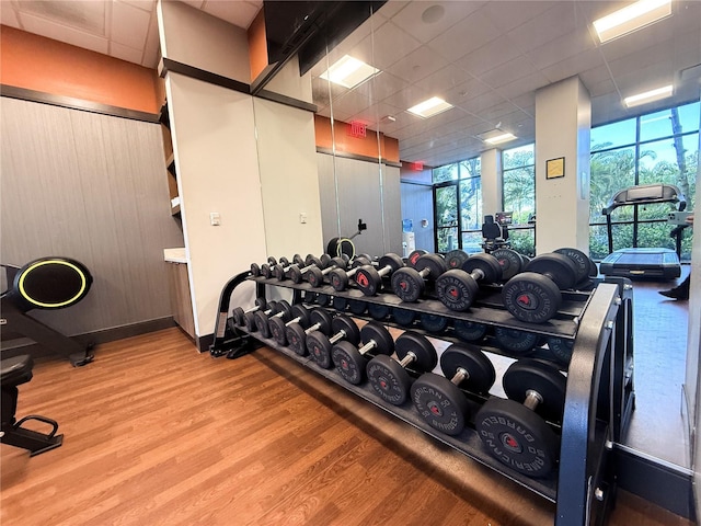 workout area with hardwood / wood-style floors, a paneled ceiling, and floor to ceiling windows