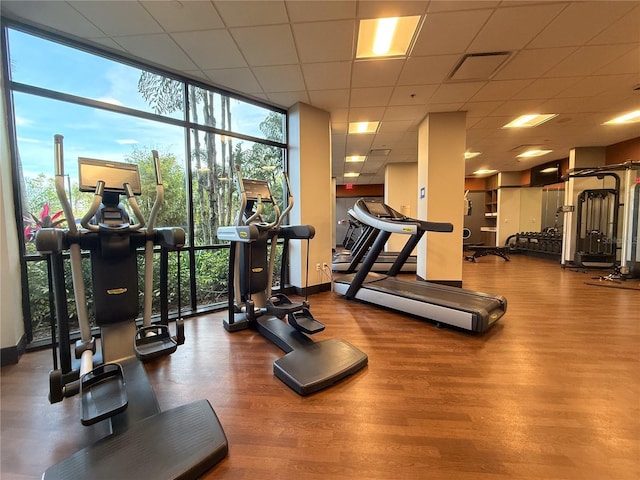 workout area with expansive windows, a paneled ceiling, and hardwood / wood-style floors