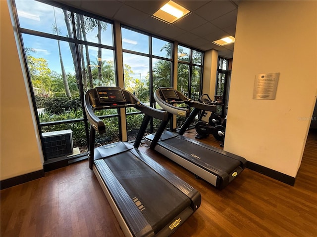 workout area with dark hardwood / wood-style flooring, a wall of windows, and a paneled ceiling