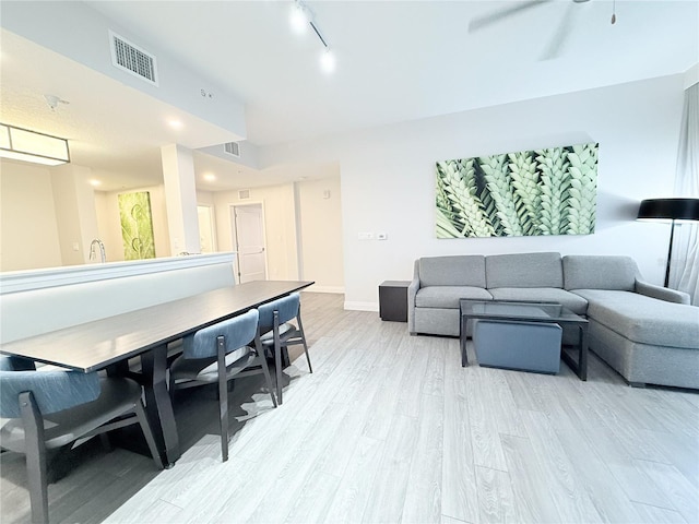 living room featuring track lighting and light hardwood / wood-style flooring