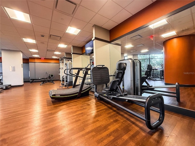 gym with a paneled ceiling and hardwood / wood-style floors