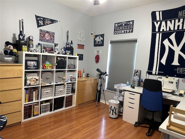 office area featuring hardwood / wood-style floors