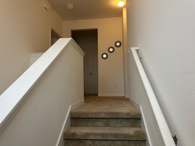 stairway featuring carpet flooring