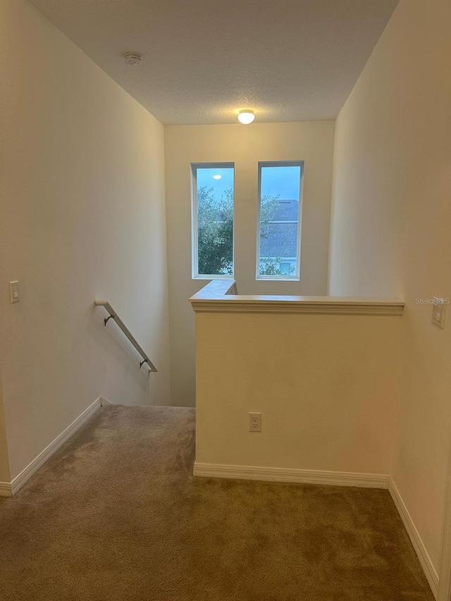 interior space with carpet flooring