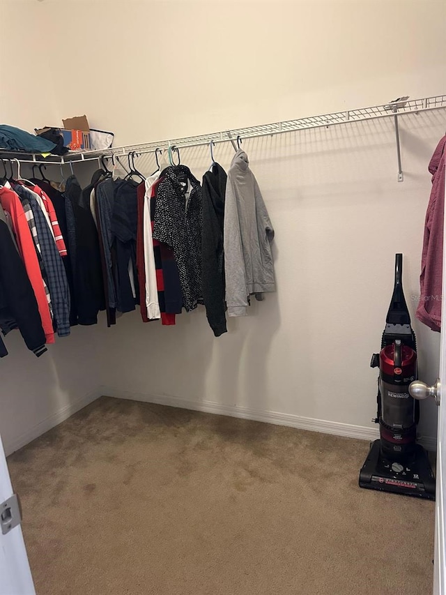 spacious closet featuring carpet floors