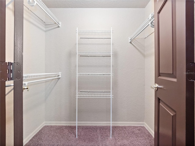 walk in closet featuring carpet flooring