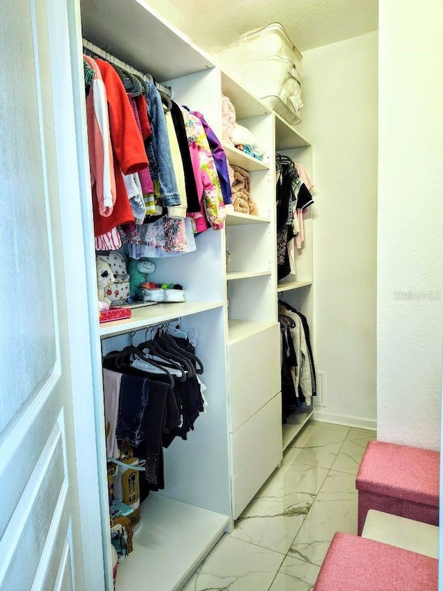 view of spacious closet