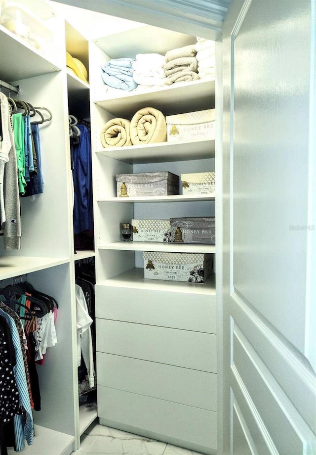 view of walk in closet