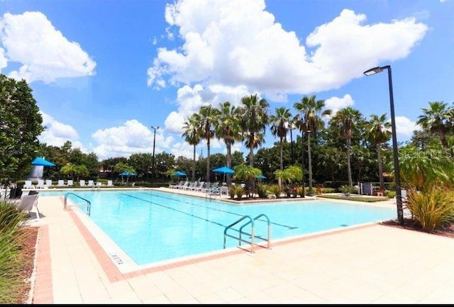 view of pool featuring a patio area