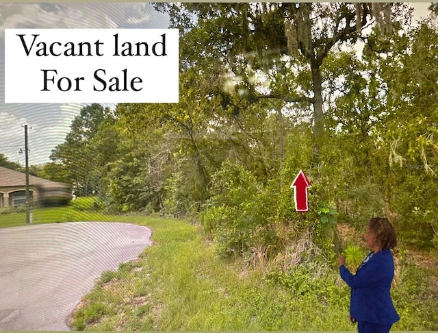 Tbd, Ocala, FL 34472