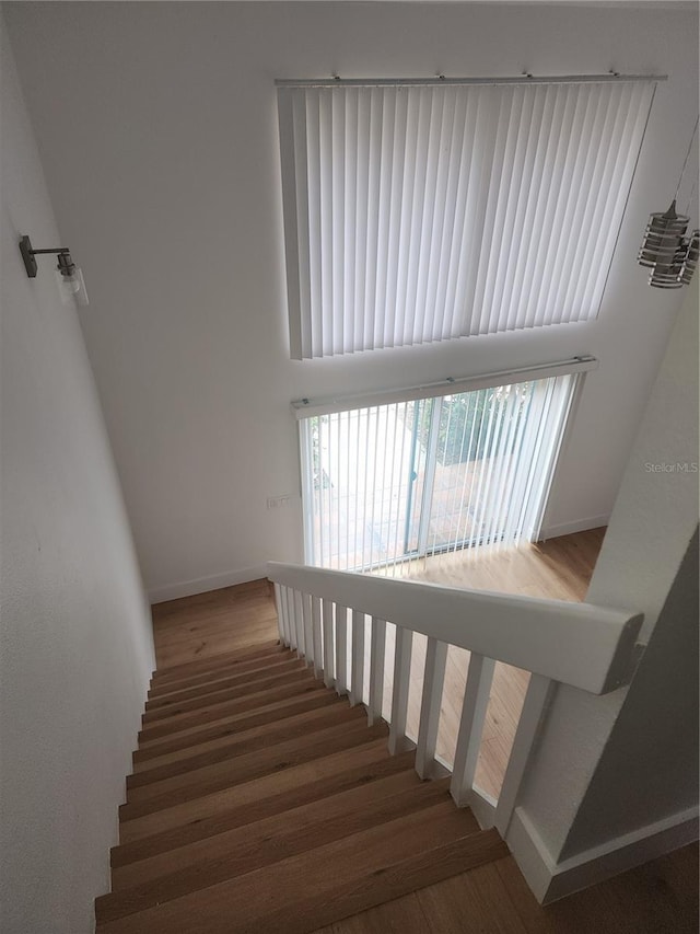 staircase with hardwood / wood-style flooring and a high ceiling