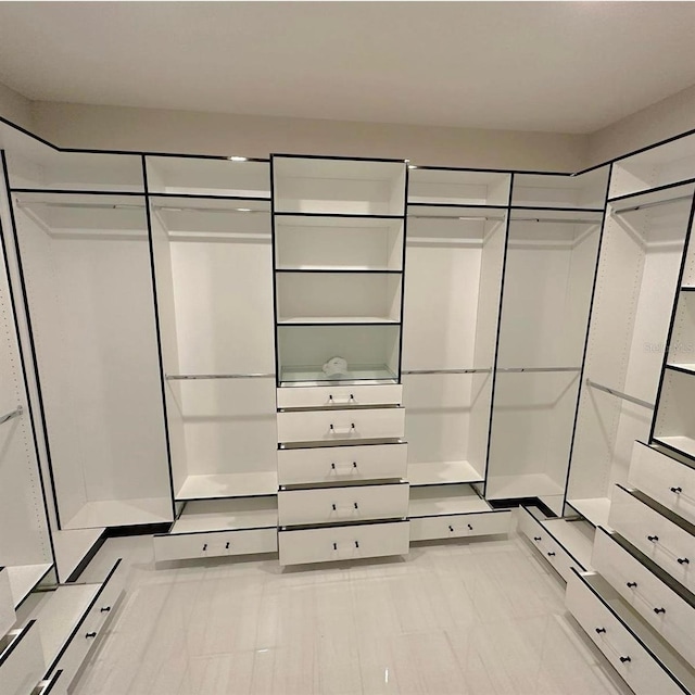 view of spacious closet