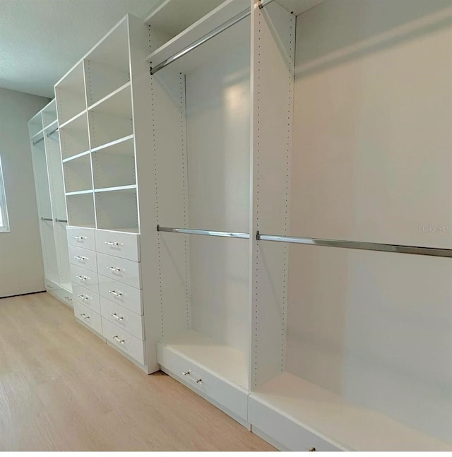 spacious closet with light hardwood / wood-style floors