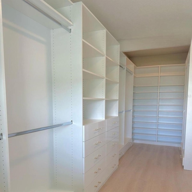 spacious closet with light hardwood / wood-style flooring