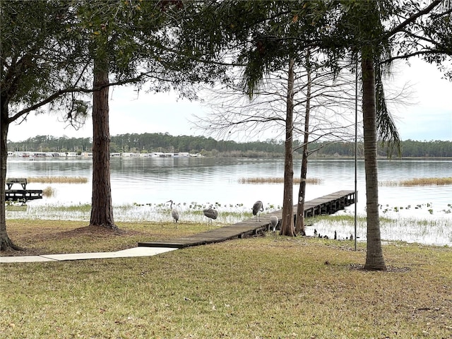 property view of water featuring a boat dock