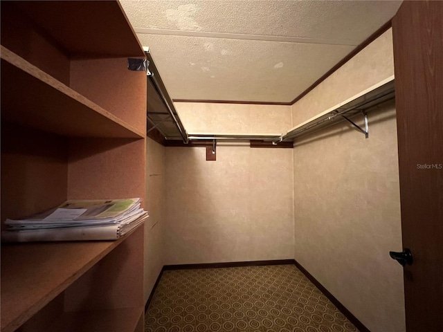 walk in closet featuring carpet floors