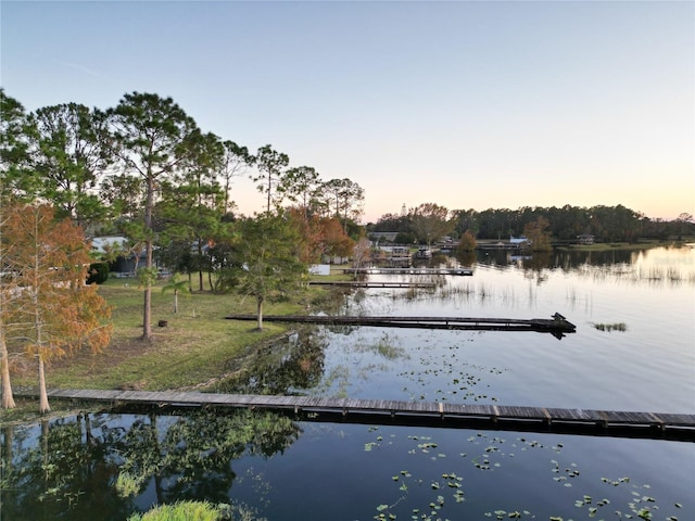 dock area featuring a water view