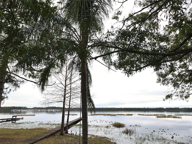 view of water feature