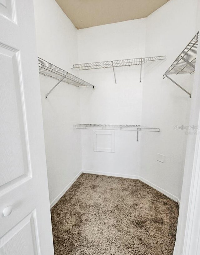 spacious closet with carpet flooring