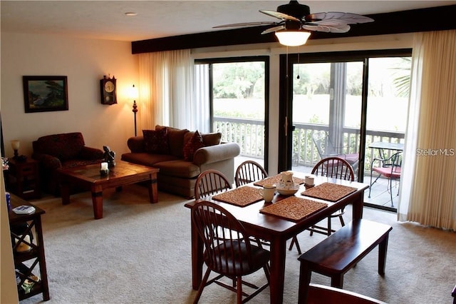 carpeted dining area with ceiling fan and beamed ceiling