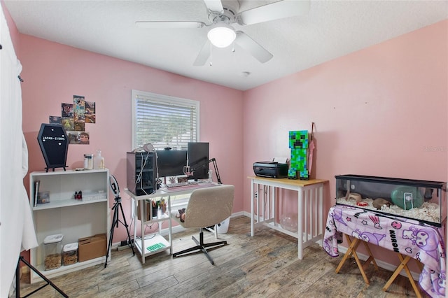 office featuring ceiling fan and hardwood / wood-style floors