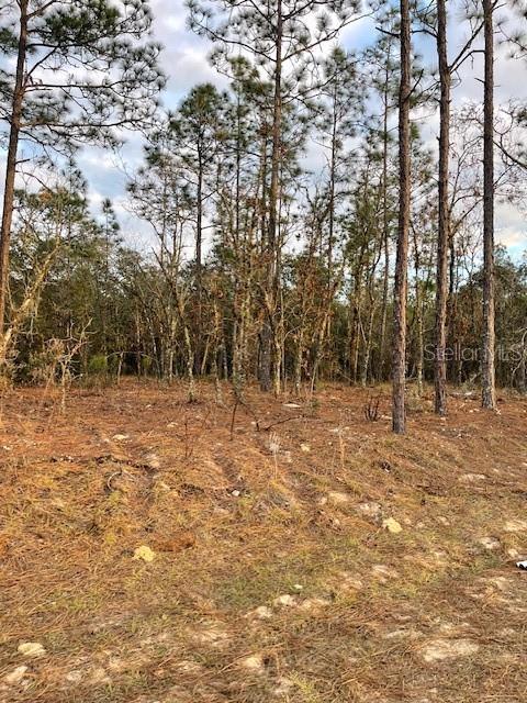 SW 123rd Ave, Ocala FL, 34481 land for sale