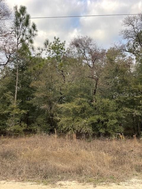 0 SW 94th Ln, Dunnellon FL, 34432 land for sale