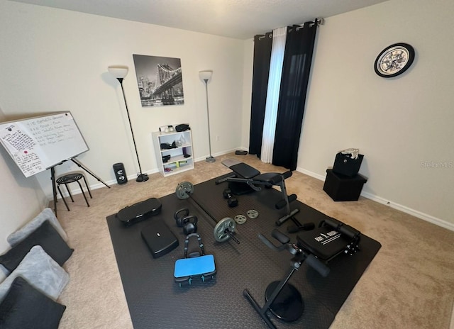 exercise room featuring carpet