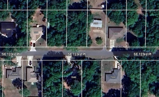 SW 123th Pl, Belleview FL, 34421 land for sale