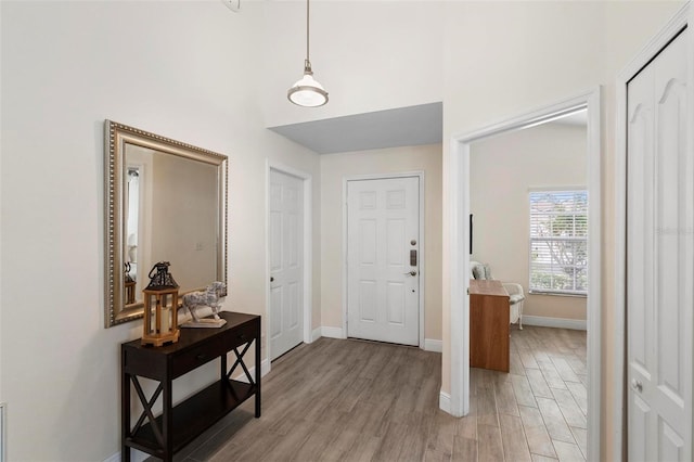 entrance foyer featuring light hardwood / wood-style floors and a towering ceiling