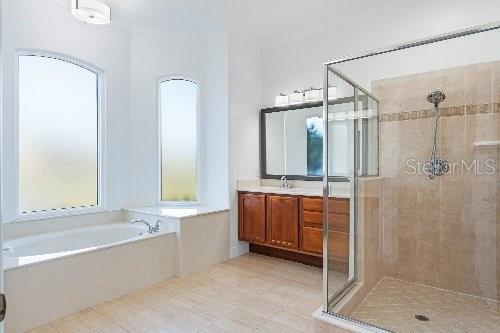 bathroom with shower with separate bathtub and vanity